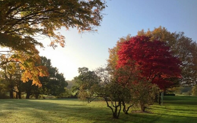 Highfield Park