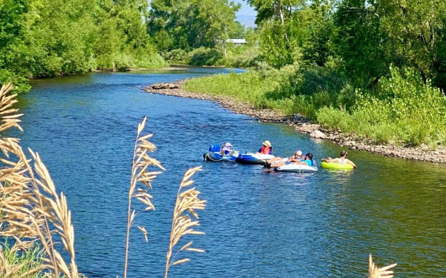 Vibrant Downtown Bungalow – Walk Everywhere!