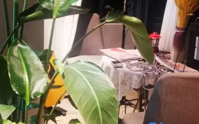 Qiubei Hou Lai De Wo Men Boutique Homestay