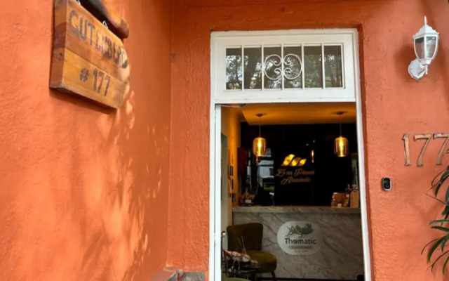 Collection O Casa Anzures Thematic, Mexico City