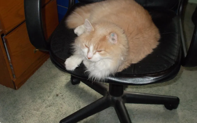 The Grand Guesthouse