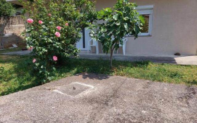 Apartments Anka
