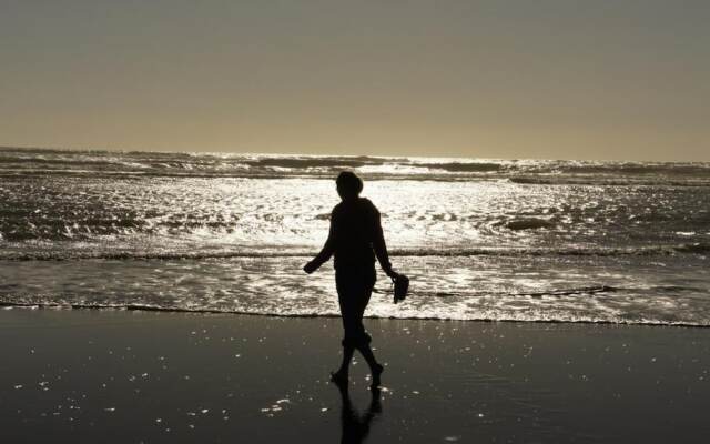 Port Waikato Holiday Park