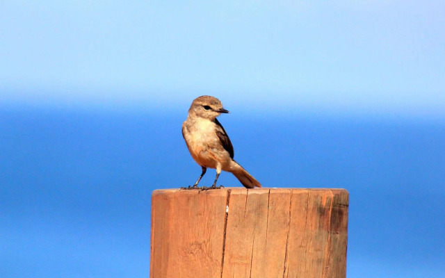 Kooljaman at Cape Leveque