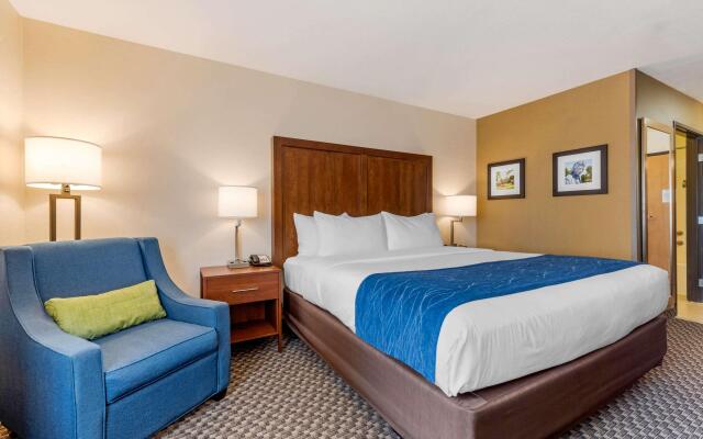 Comfort Inn & Suites near Route 66