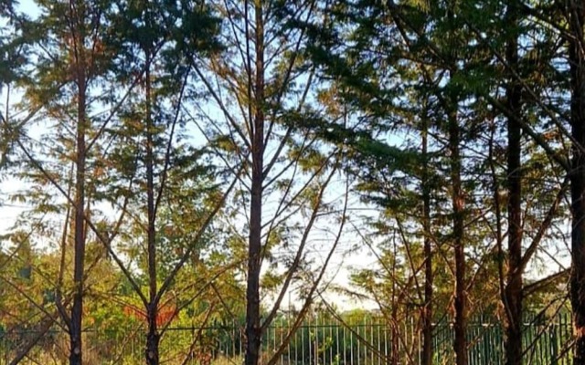 Casa Vacanze in Campania