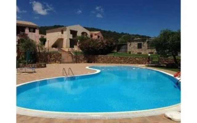 Uliveto con Vista