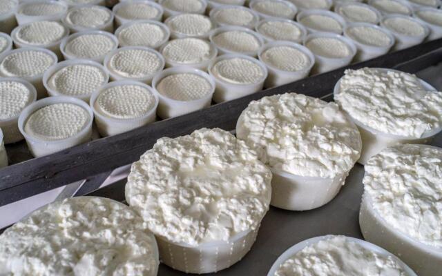 Ferma de sub Penteleu