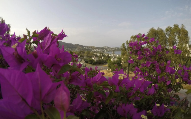 Panorama Otel