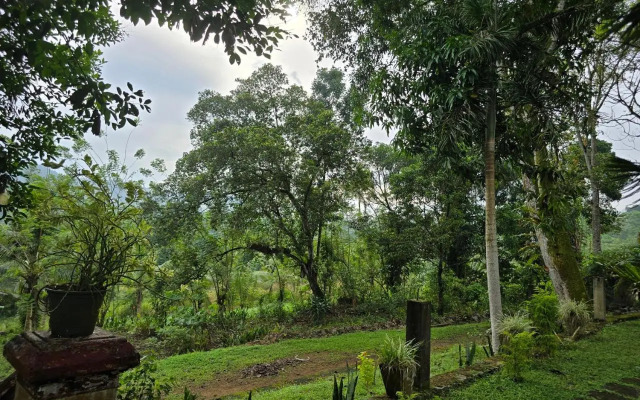 Nildiya Falls Hotel