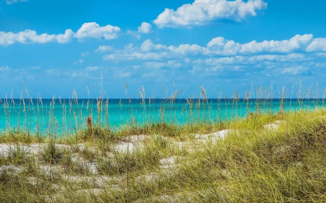 Calypso 2-504 West