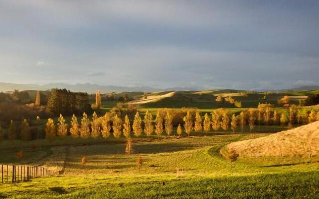 Tree House Lodge Bed & Breakfast