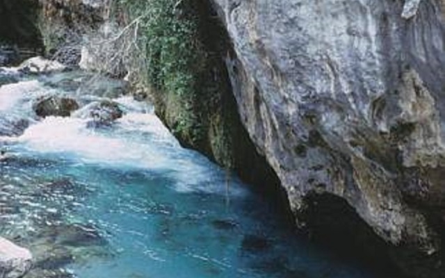 Picos de Europa