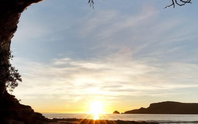 43 Degrees Bruny Island