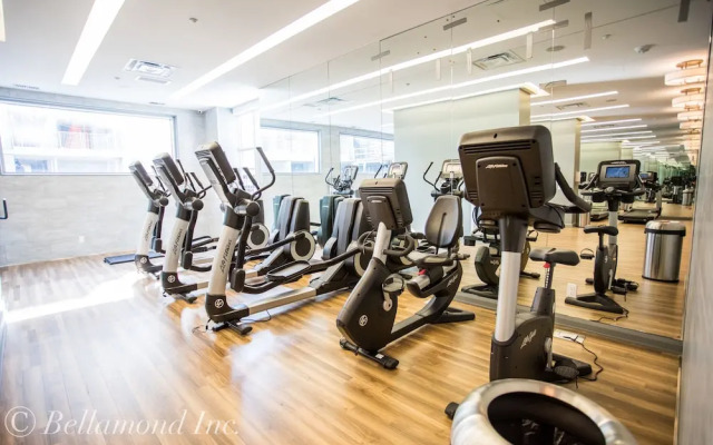 Yorkville Plaza by Bellamond Suites Yorkville