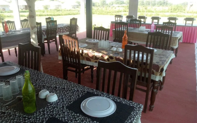 The Tiger Hill Sariska