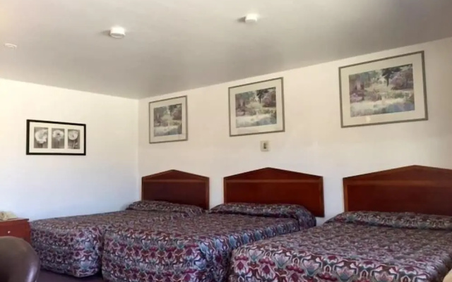 Maple Inn & Suites