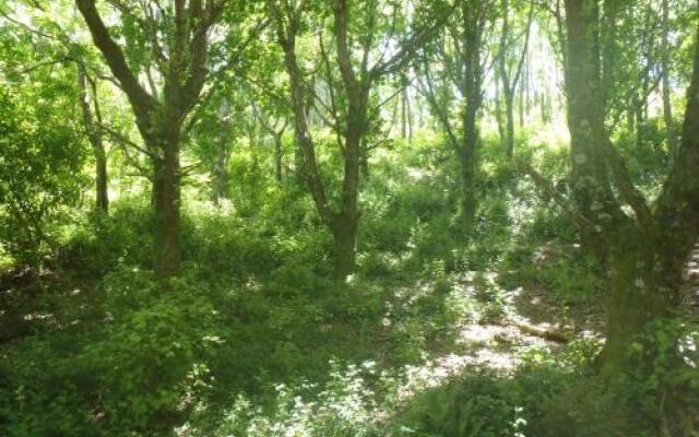 Blackberry Hill Farm