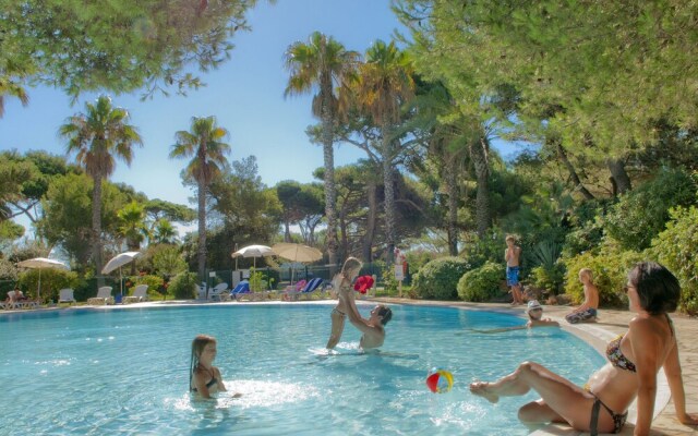 Mediterranean Studio on the Gorgeous Peninsula of Giens