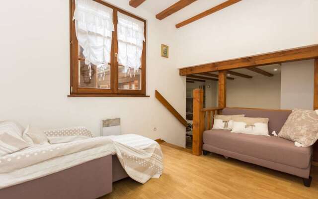 Appartement Les Tanneurs Colmar - Shaaby