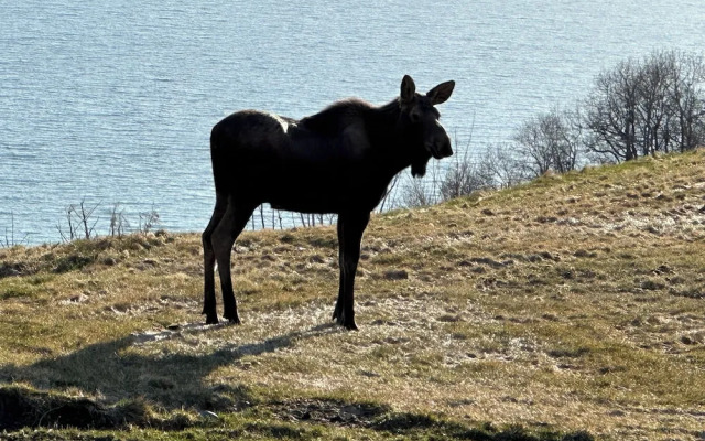 Paradise Suites Eagles Nest Apt C