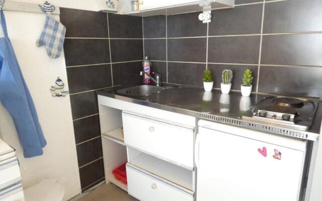 Appartement Piau-Engaly, 1 pièce, 6 personnes - FR-1-457-241