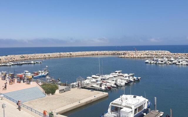 Appartement Argelès-sur-Mer, 2 pièces, 6 personnes - FR-1-388-51