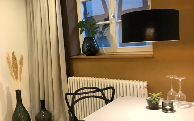 der Gänsbühl auf der Stadtmauer, Aparthotel