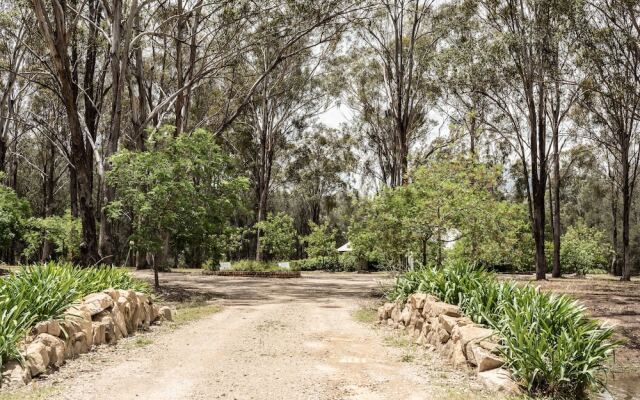 The Woods At Pokolbin