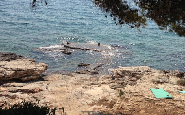 Apartment Ema - 30m from the sea A3 Murter, Island Murter