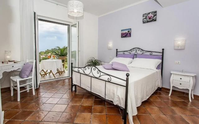 Casa la Cycas
