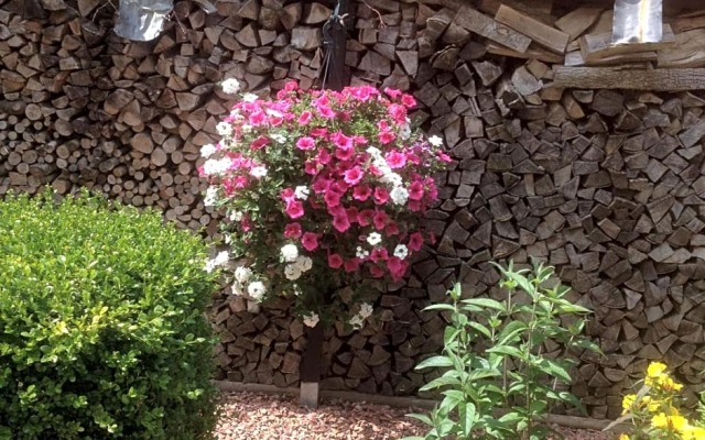 T’ Hogeland Ainrom