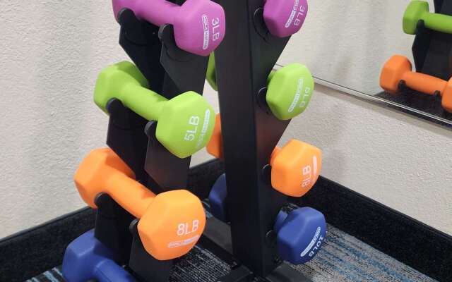 Quality Inn Dublin I-81