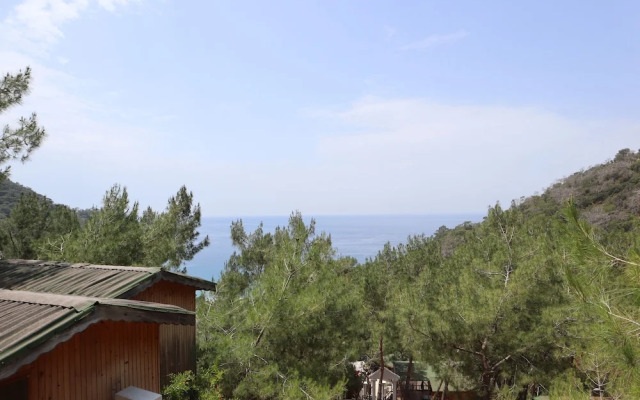 Tree Houses