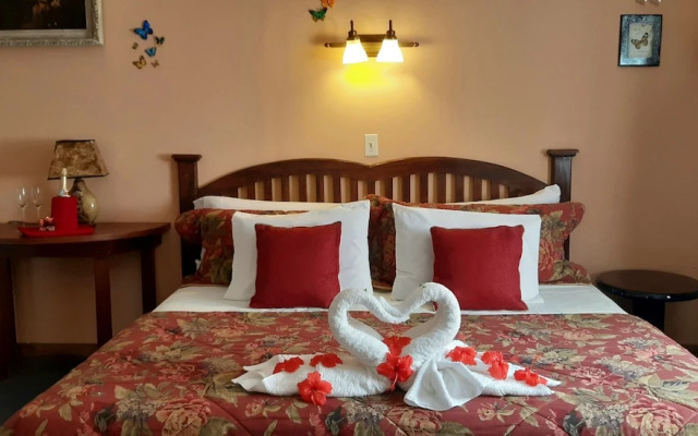 Hotel El Delfin
