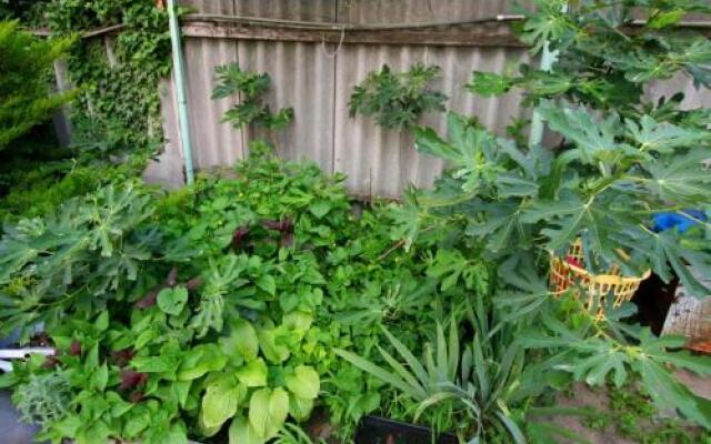 Guest House na Trudyashikhsya 249