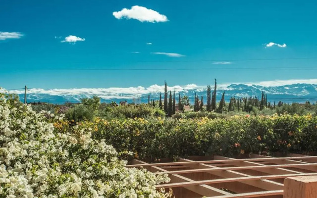 Villa les Oliviers 2 Bedrooms - A Setting of Tranquility