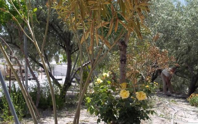 Apartamentos turísticos Cuevas Tiana