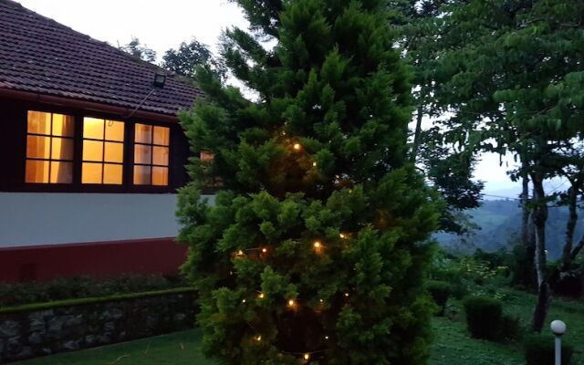 Standard Double Room-wayanad