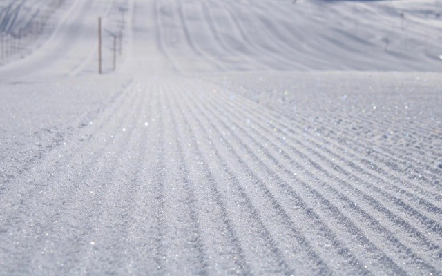 Apartment ZIRMWEBER-Haus