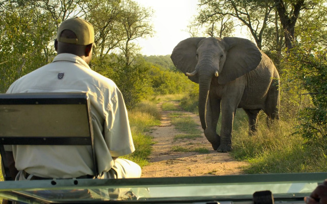 Lukimbi Safari Lodge