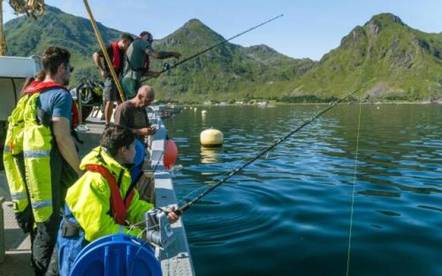 Live Lofoten Fishermen's Cabins