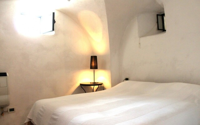 Cervo - Parco Nazionale d'Abruzzo