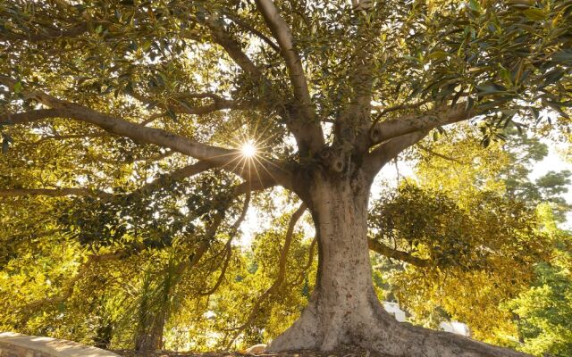 Comfort Inn Julie Anna