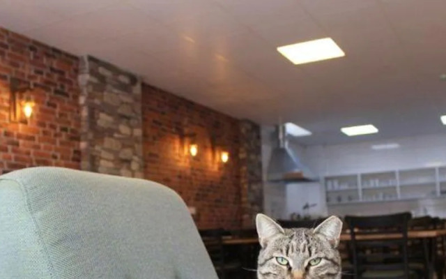 Siğacik Oli̇ve Hotel