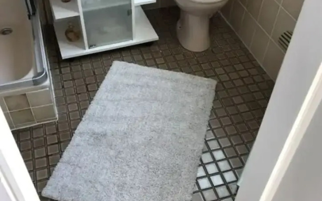 Frog Prince Modern Retreat