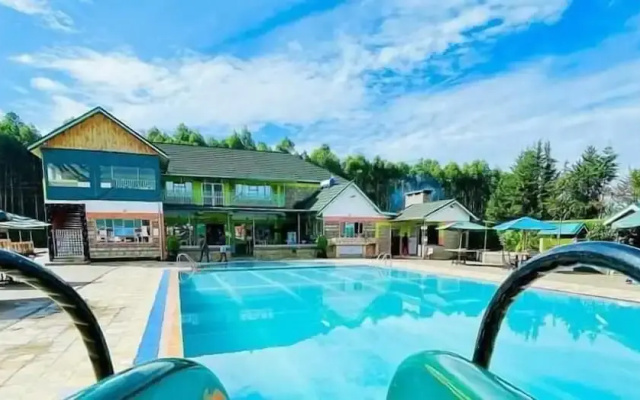 Dive In M's Hotel