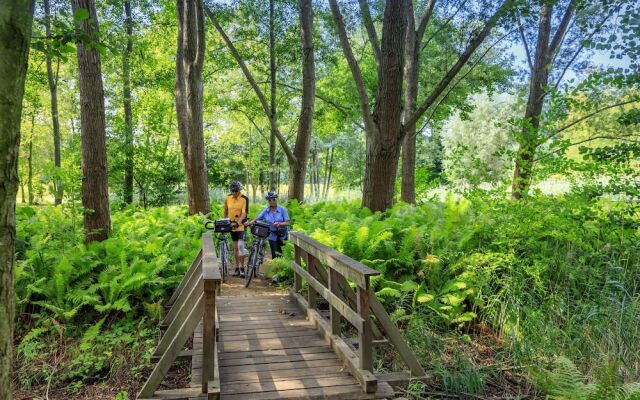 Parkpension Burg im Spreewald
