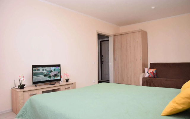 Apartment on Alexander Pushkin Street 1