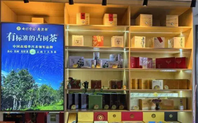 Qingyang Phoenix Hotel